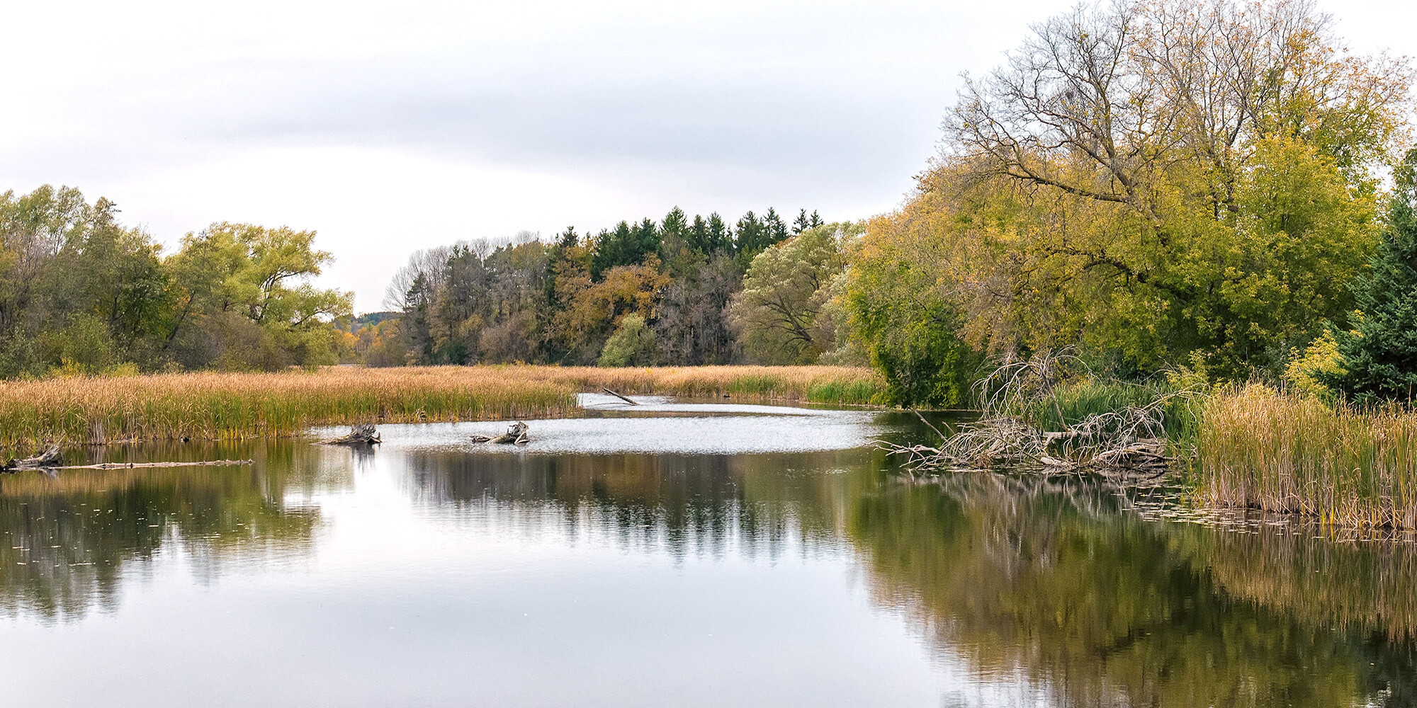 Credit River, Ontario. Photo: Mustang Joe, Flickr.