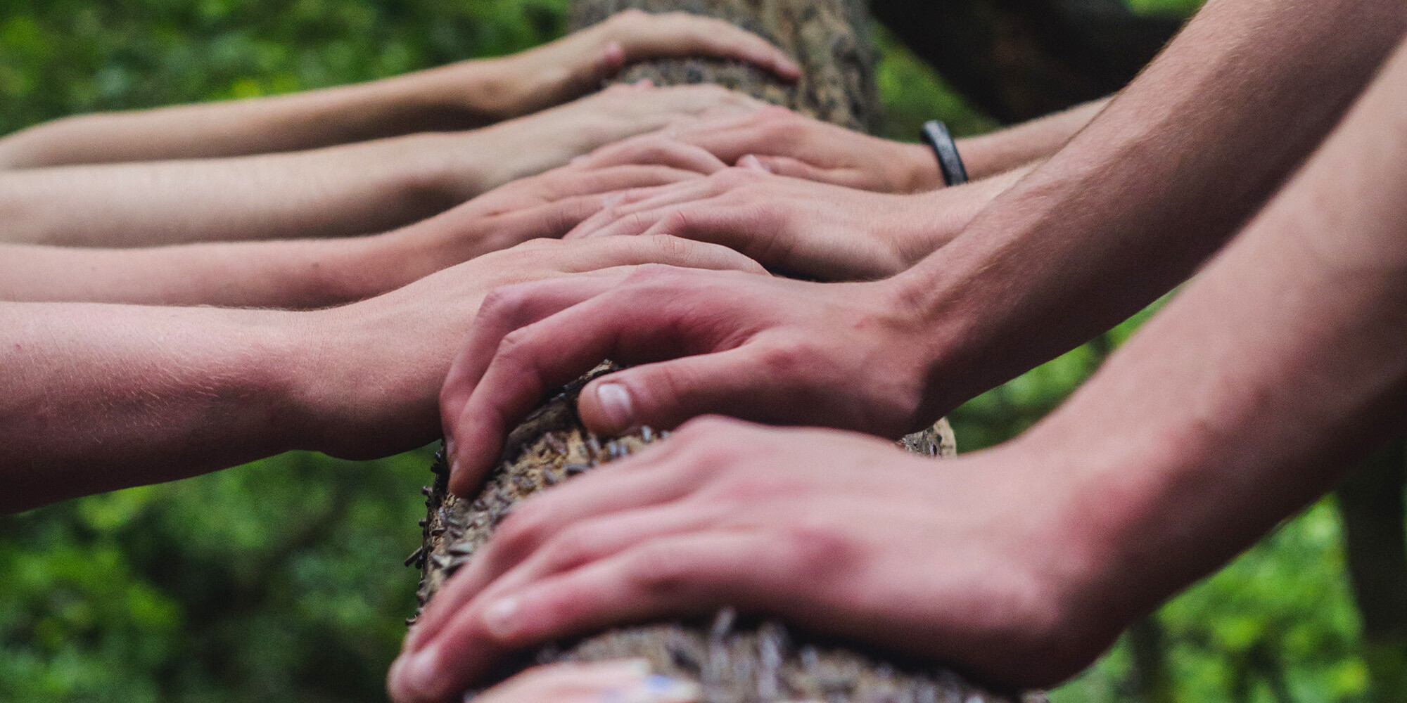 hands together on a log representing community