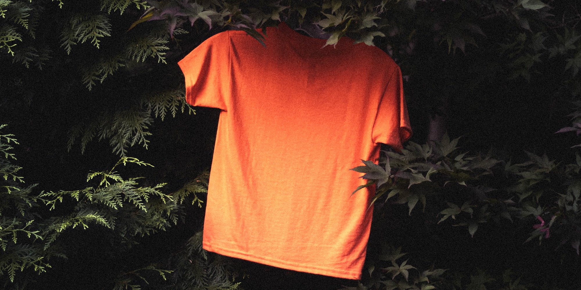 orange shirt hanging in a tree