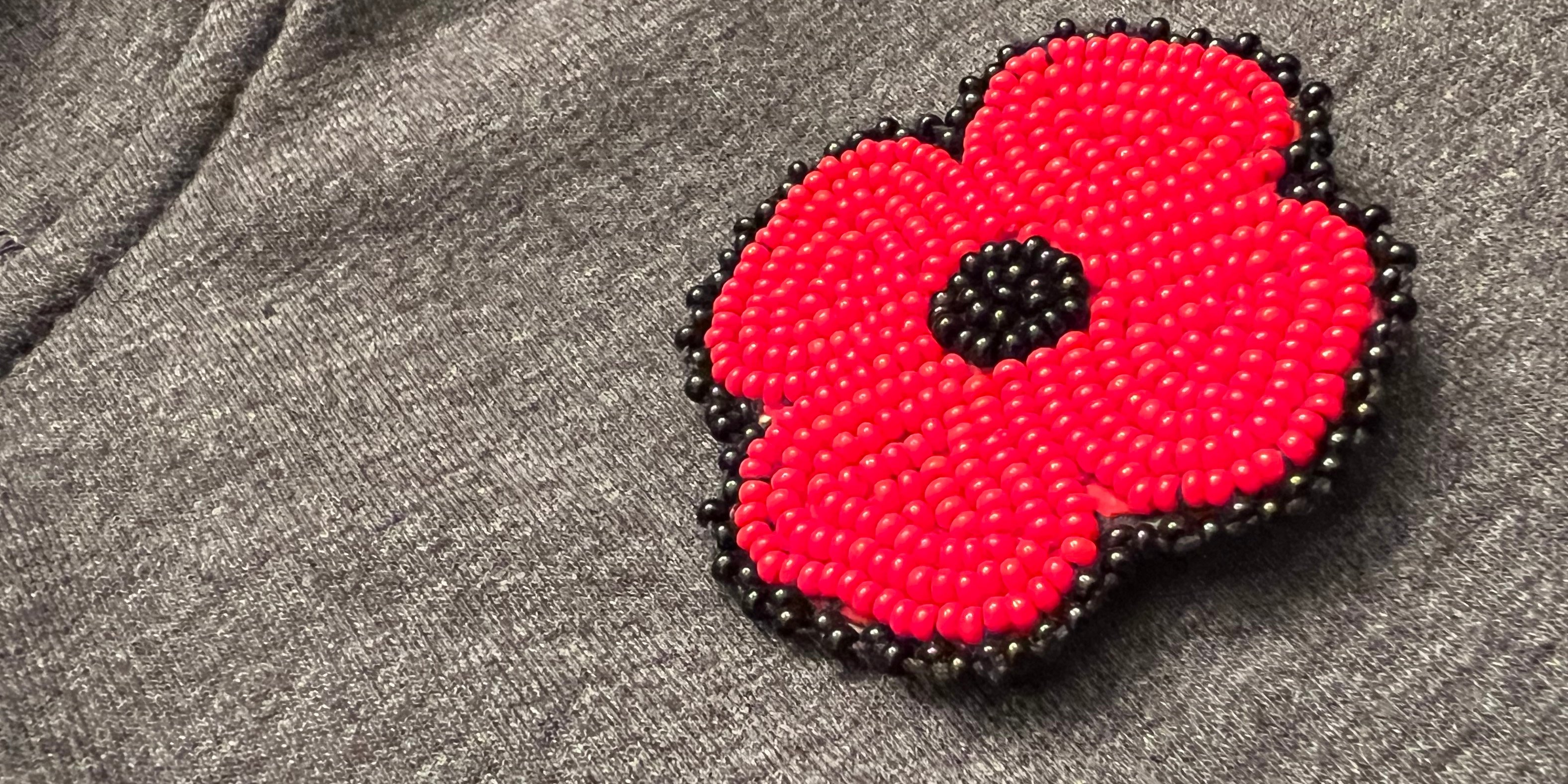 7 Posts to Read on National Indigenous Veterans Day